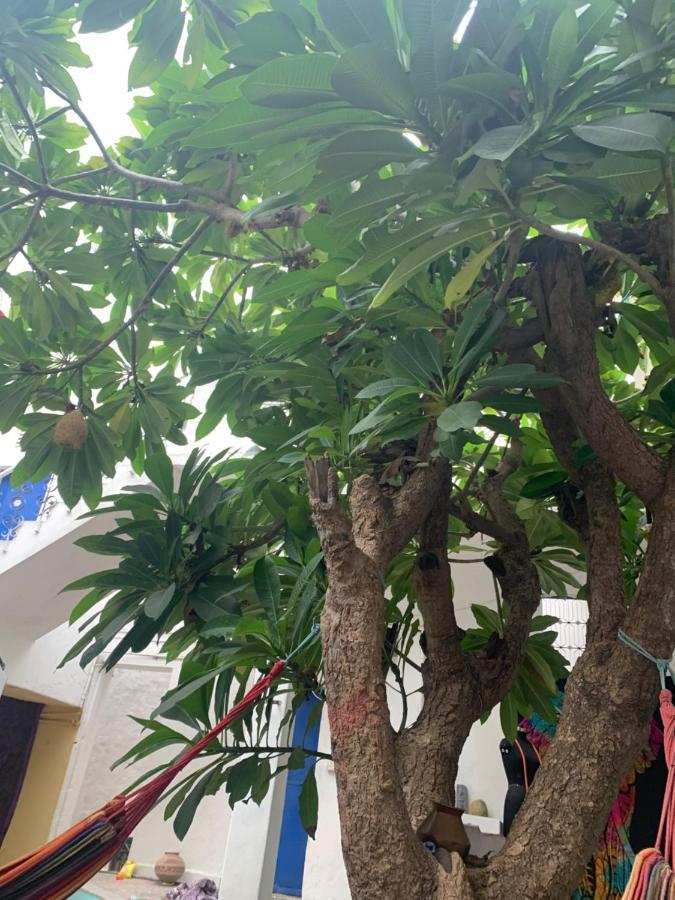 Shiva Guest House Pushkar Exterior foto